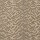 Nourison Carpets: Tiger Point Brush